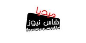 logo fesnews media