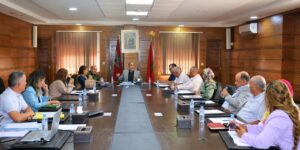 549233909 1195032556003970 2347359574525304018 n