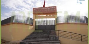 617413012 122117750631135429 3864637006734193921 n