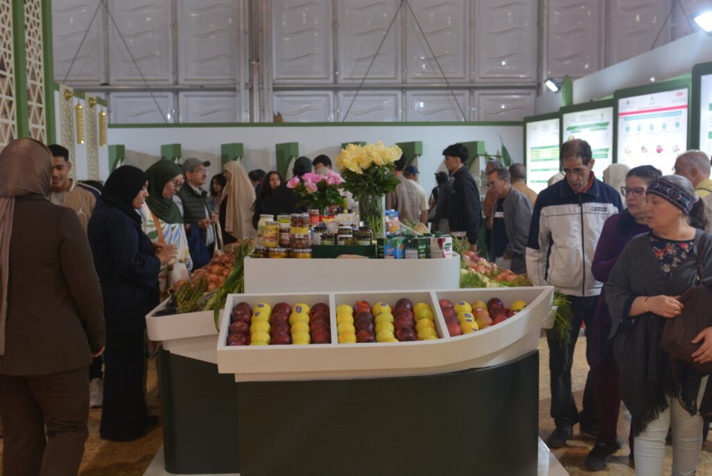 WhatsApp Image 2026 04 24 at 15.19.56 (3)