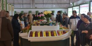 WhatsApp Image 2026 04 24 at 15.19.56 (3)